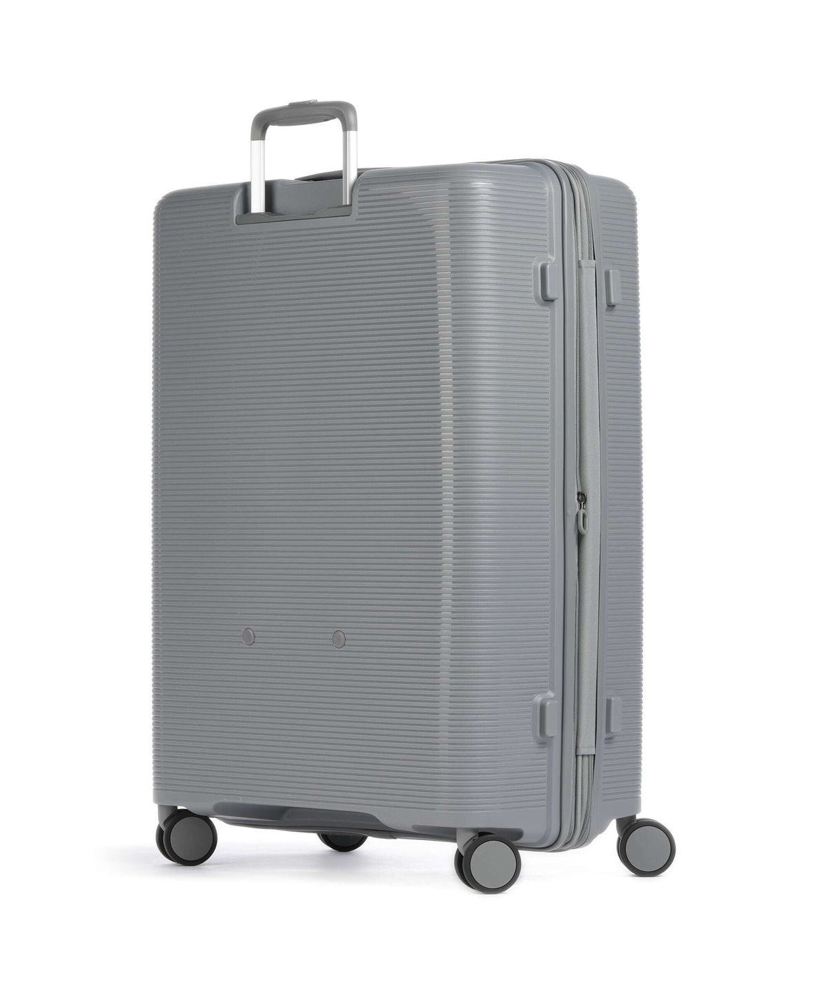 Echolac Forza L Spinner (4 wheels) arctic grey