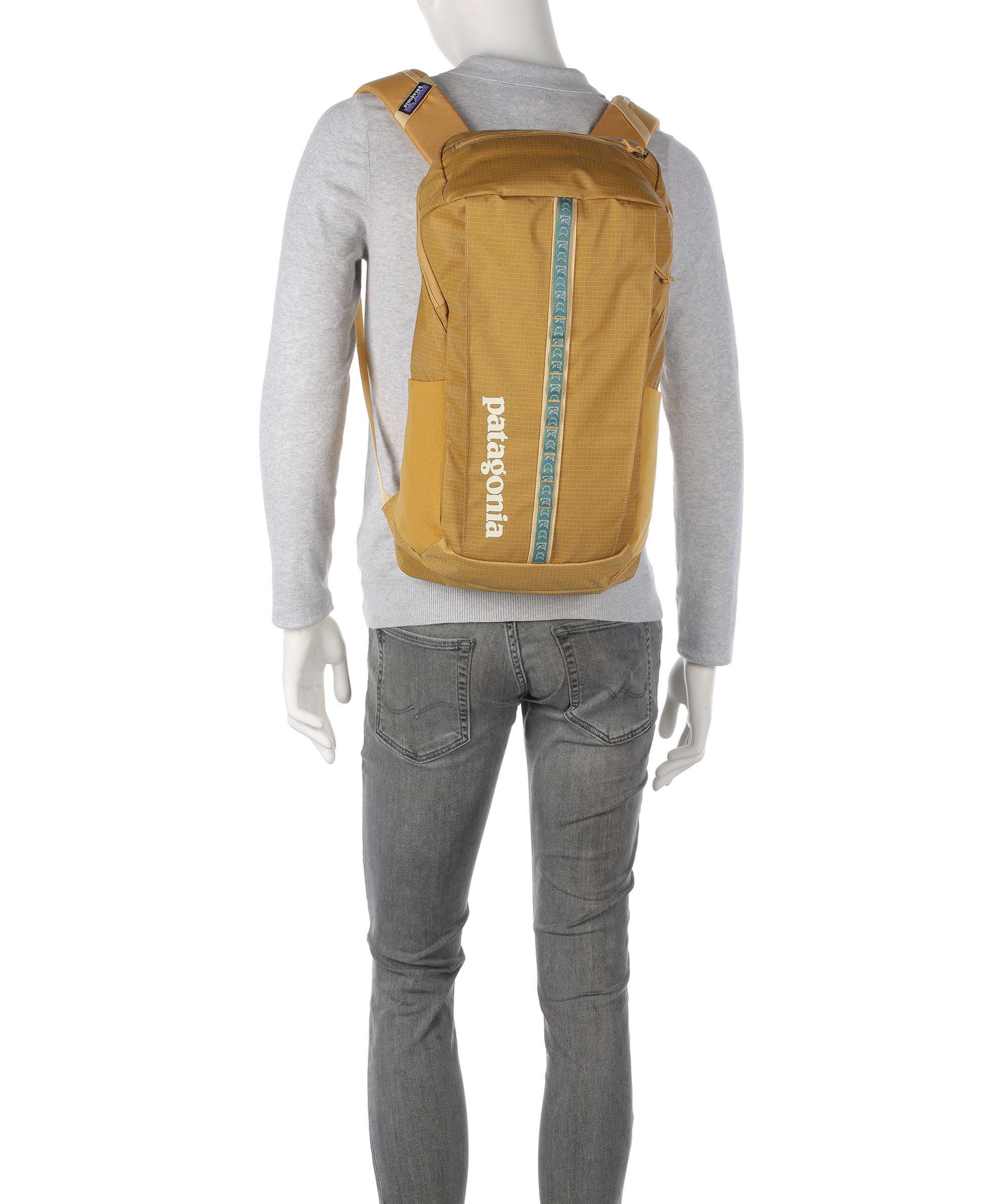 Patagonia Black Hole 25 Backpack pufferfish gold/beeswax tan