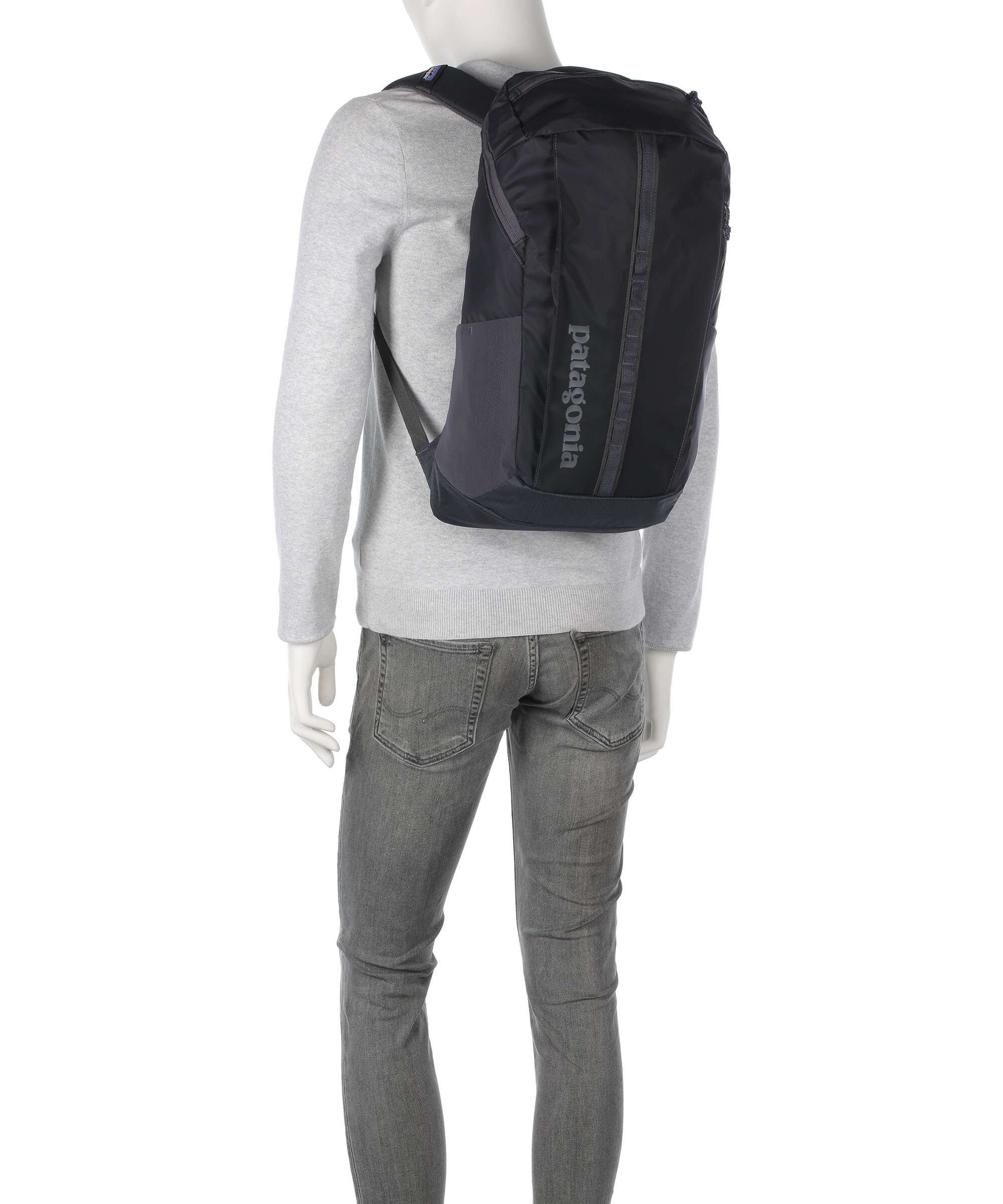 Patagonia Black Hole 25 Backpack black w/black