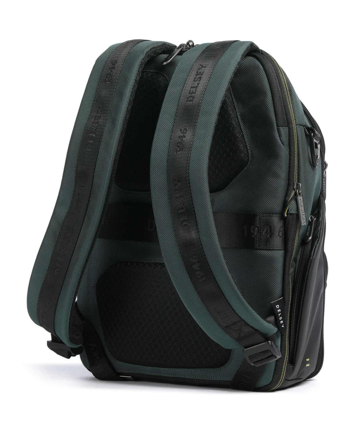 Delsey Paris DLC Pro Laptop backpack olive