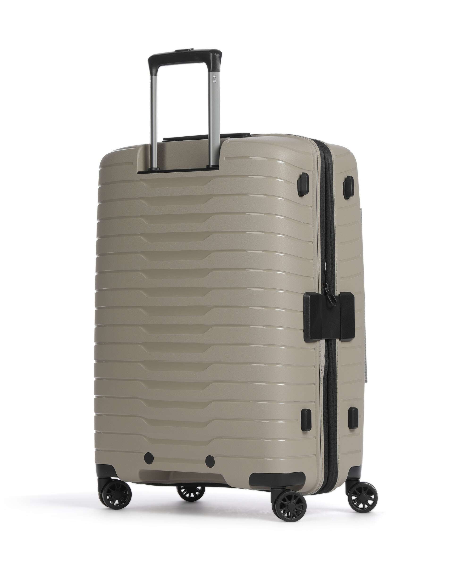 Stratic Novium ML Spinner (4 wheels) sand