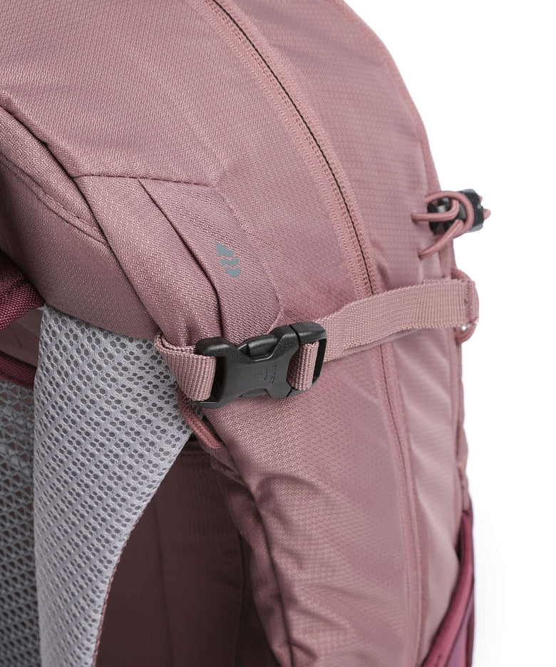 Deuter Futura 21 SL Hiking backpack ashrose/cassis