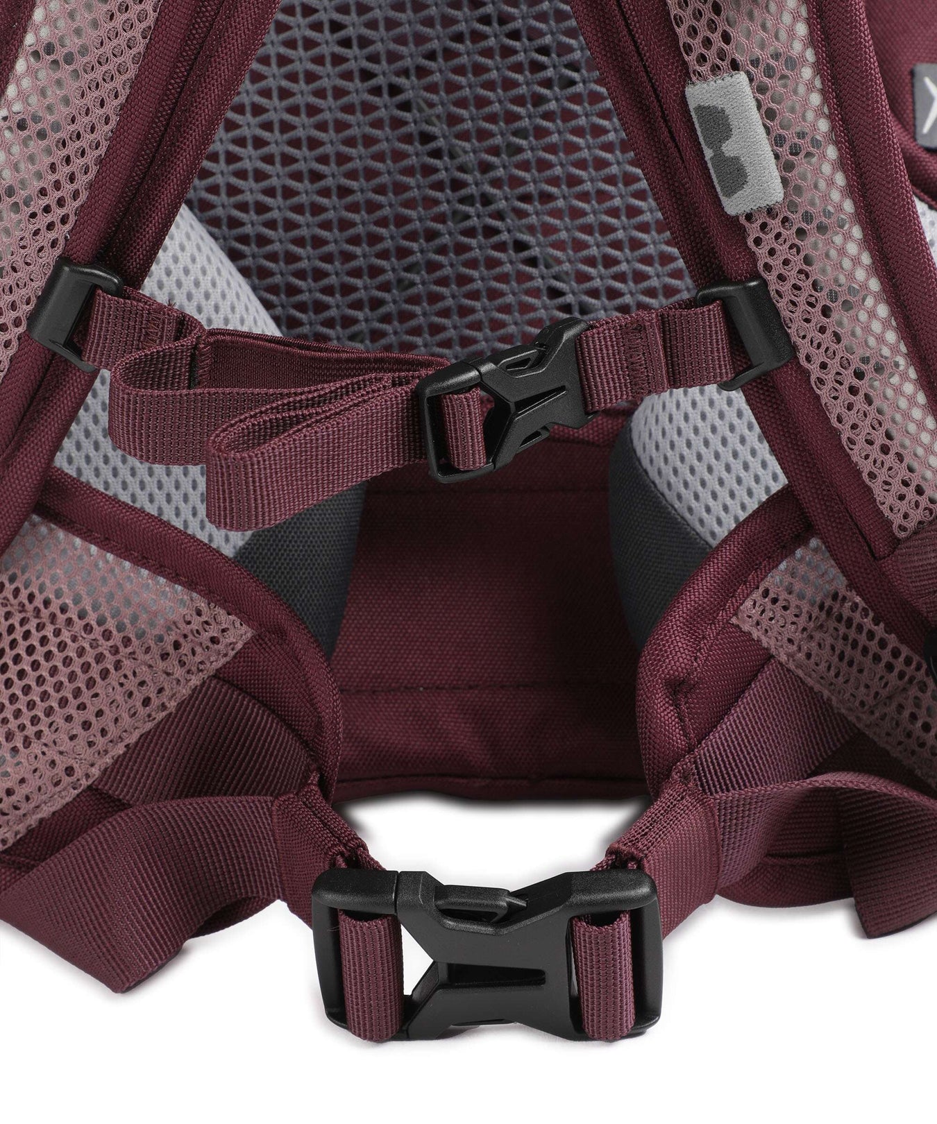 Deuter AC Lite 21 SL Hiking backpack ashrose/cassis