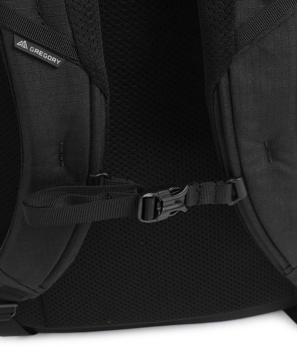 Gregory Border Easy Cabin 28 Travel backpack black lichen