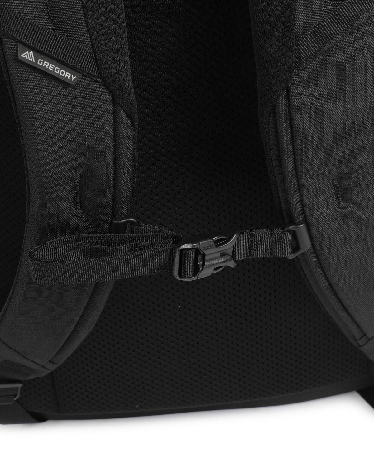 Gregory Border Easy Cabin 28 Travel backpack black lichen