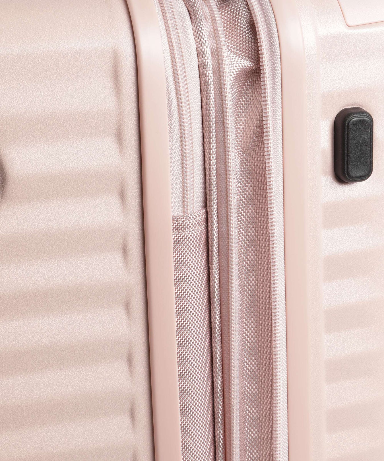 Echolac Celestra BLX L Spinner (4 wheels) pink