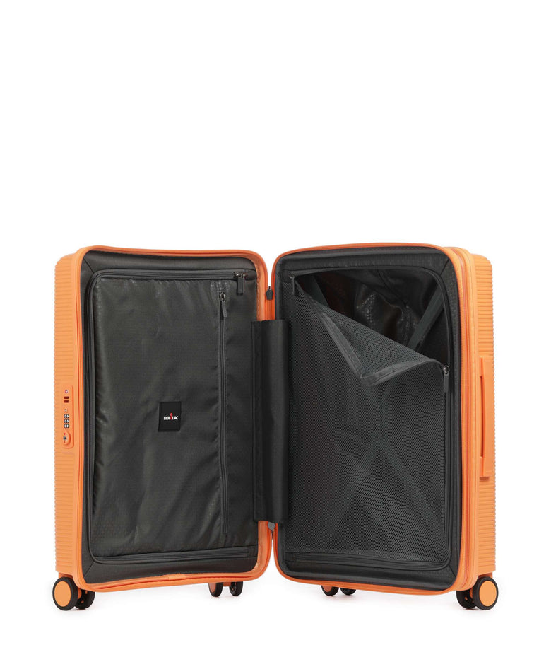 Echolac Forza S Spinner (4 wheels) apricot crush