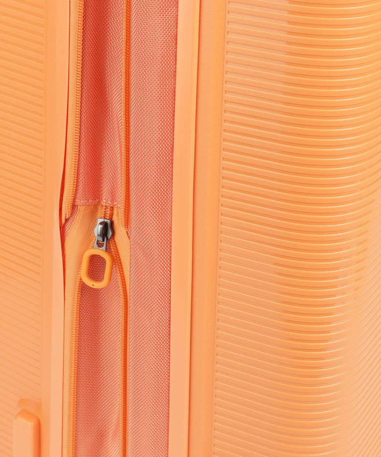 Echolac Forza M Spinner (4 wheels) apricot crush