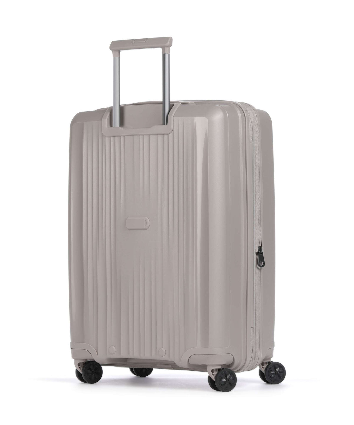 Epic Halo Spinner (4 wheels) eternal nature