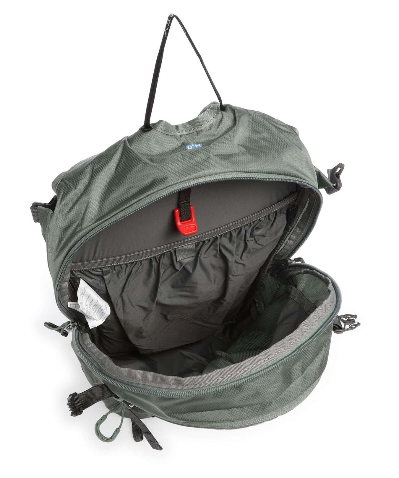 Osprey Sportlite 15 Hiking backpack pine leaf green