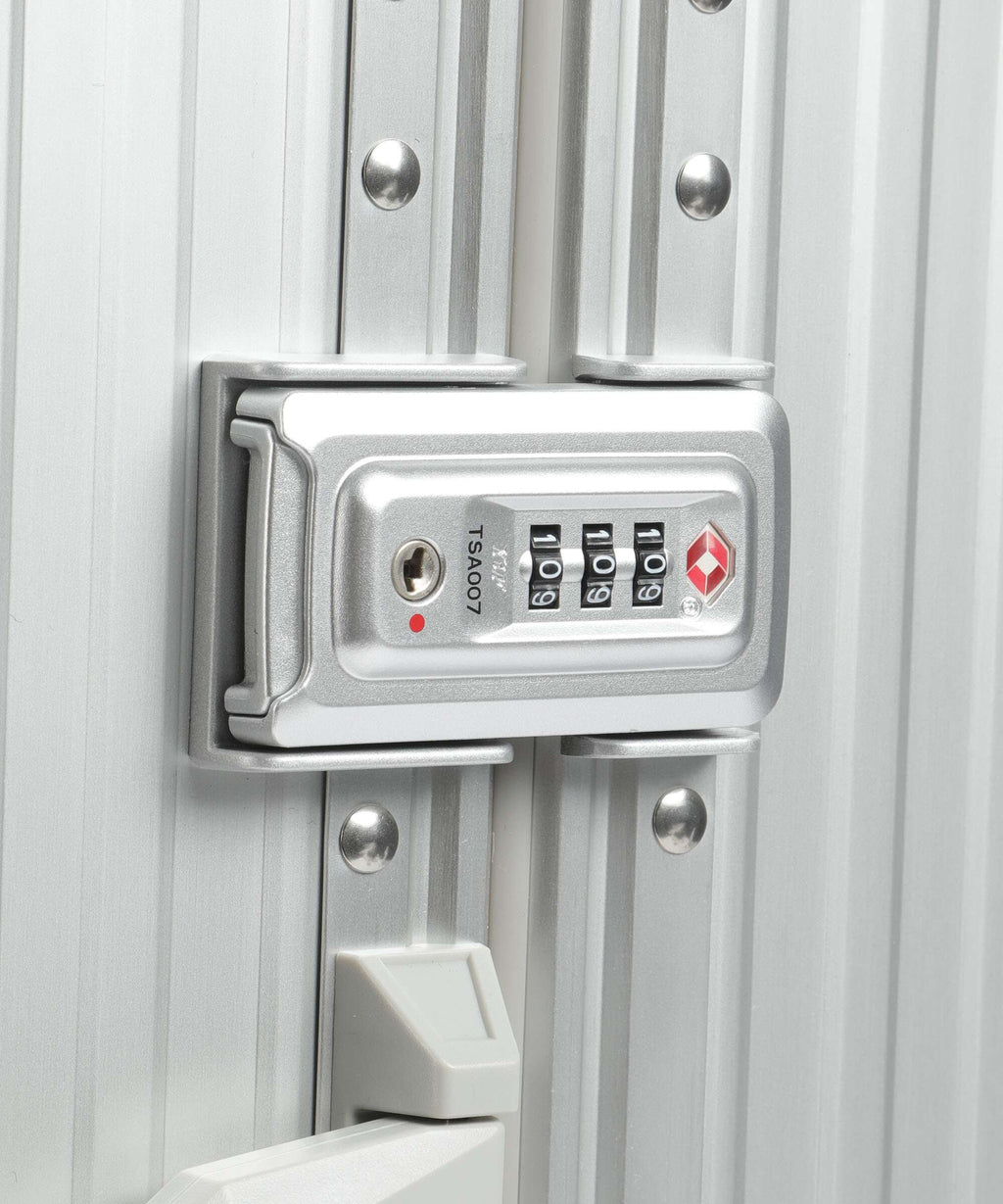 Aleon Domestic Carry-On Spinner (4 wheels) platinum