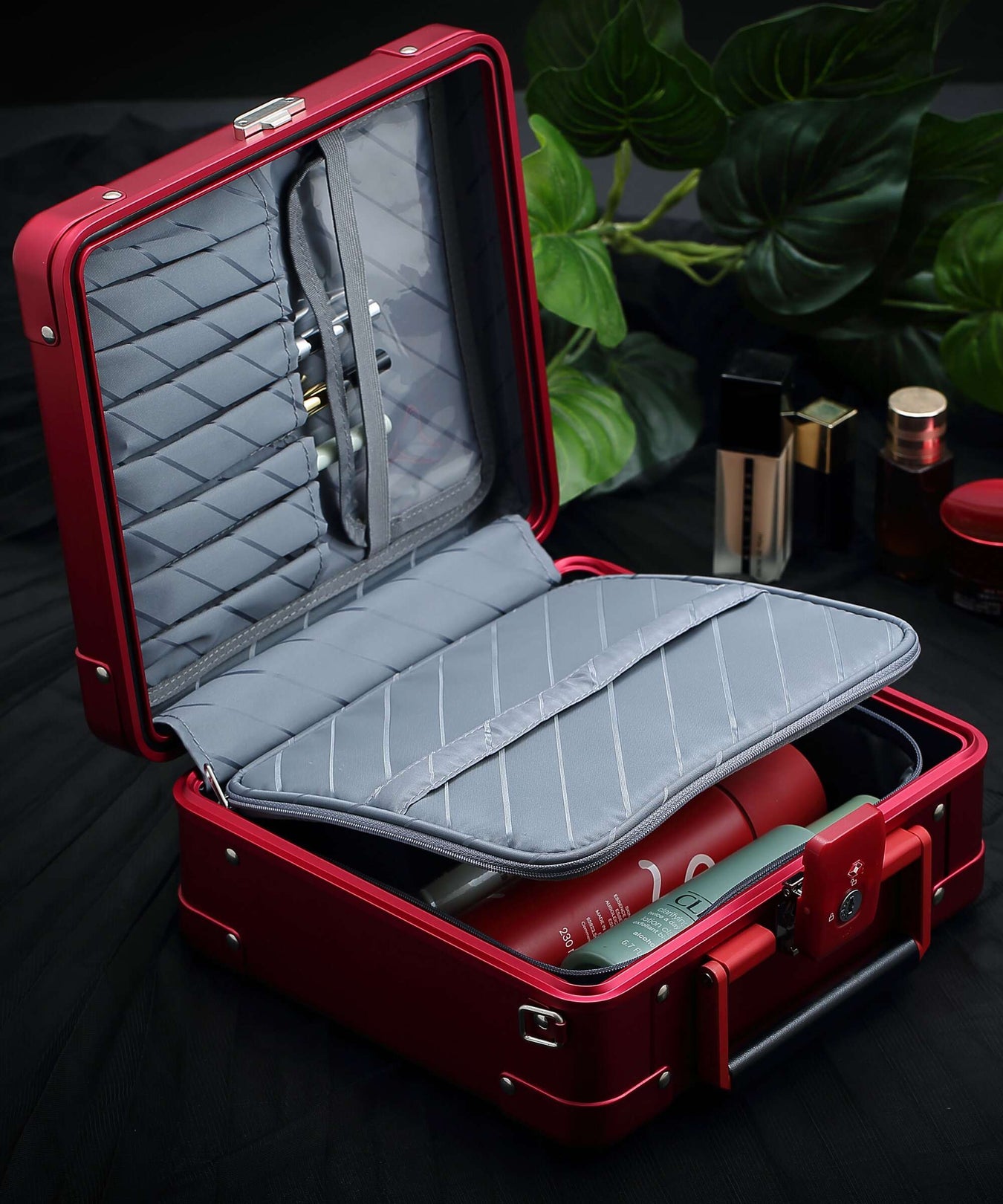 Aleon Classic 10 Diversity Beauty case platinum